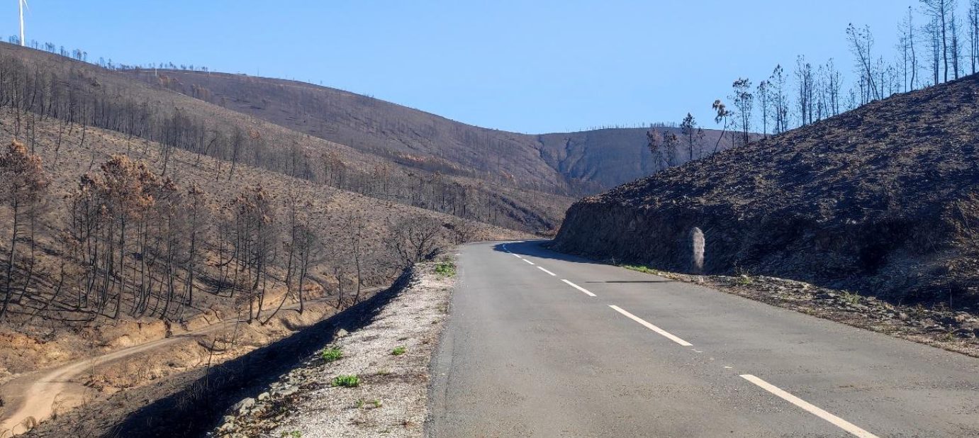 Montes reduzidos a cinzas.