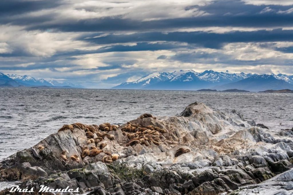 Brás Mendes e o céu de Ushuaia