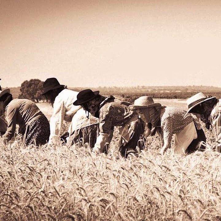 Trabalhadores Rurais