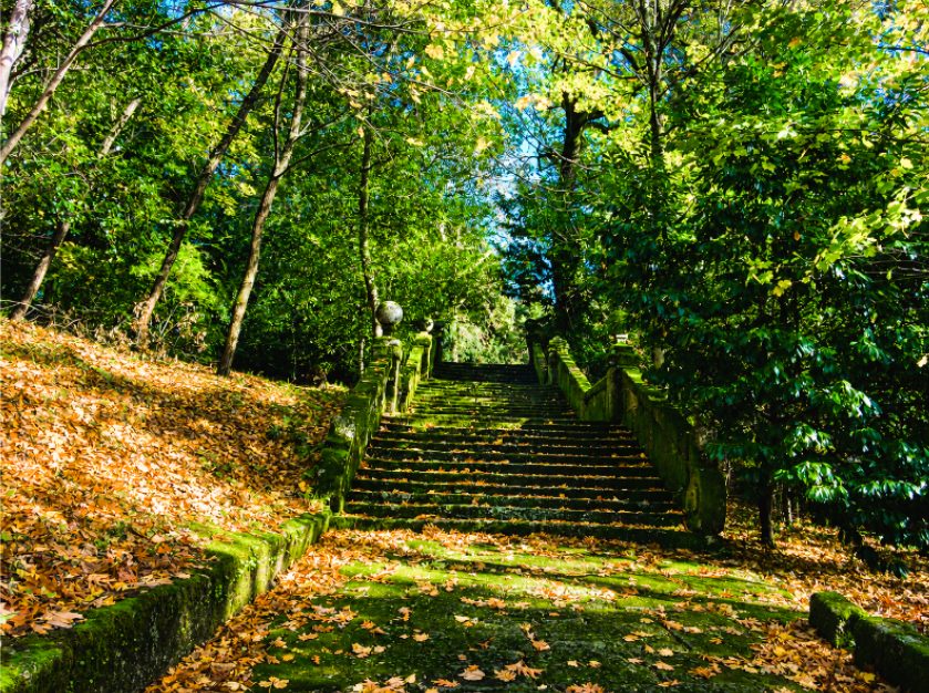 Escadaria do Jardim/Floresta de Santa Marinha da Costa