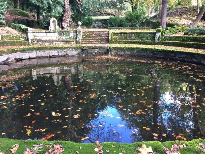 Lago do Jardim/Floresta de Santa Marinha da Costa